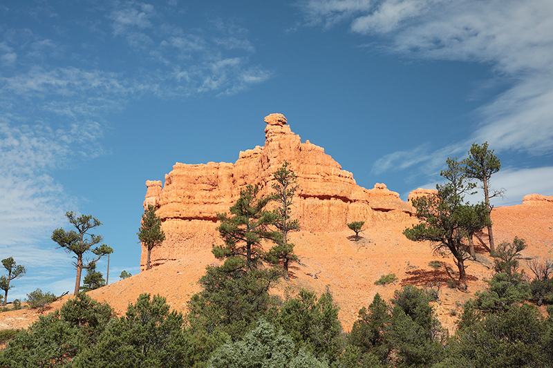 Bryce Canyon : Utah : Landscape Photos : Richard Moore : Photographer